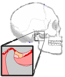 如果这些组合动作无法有机协调,那么就容易出现关节弹响,卡压和疼痛.