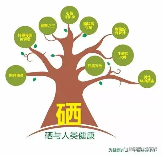 坚持补硒一段时间后身体出现的7大变化