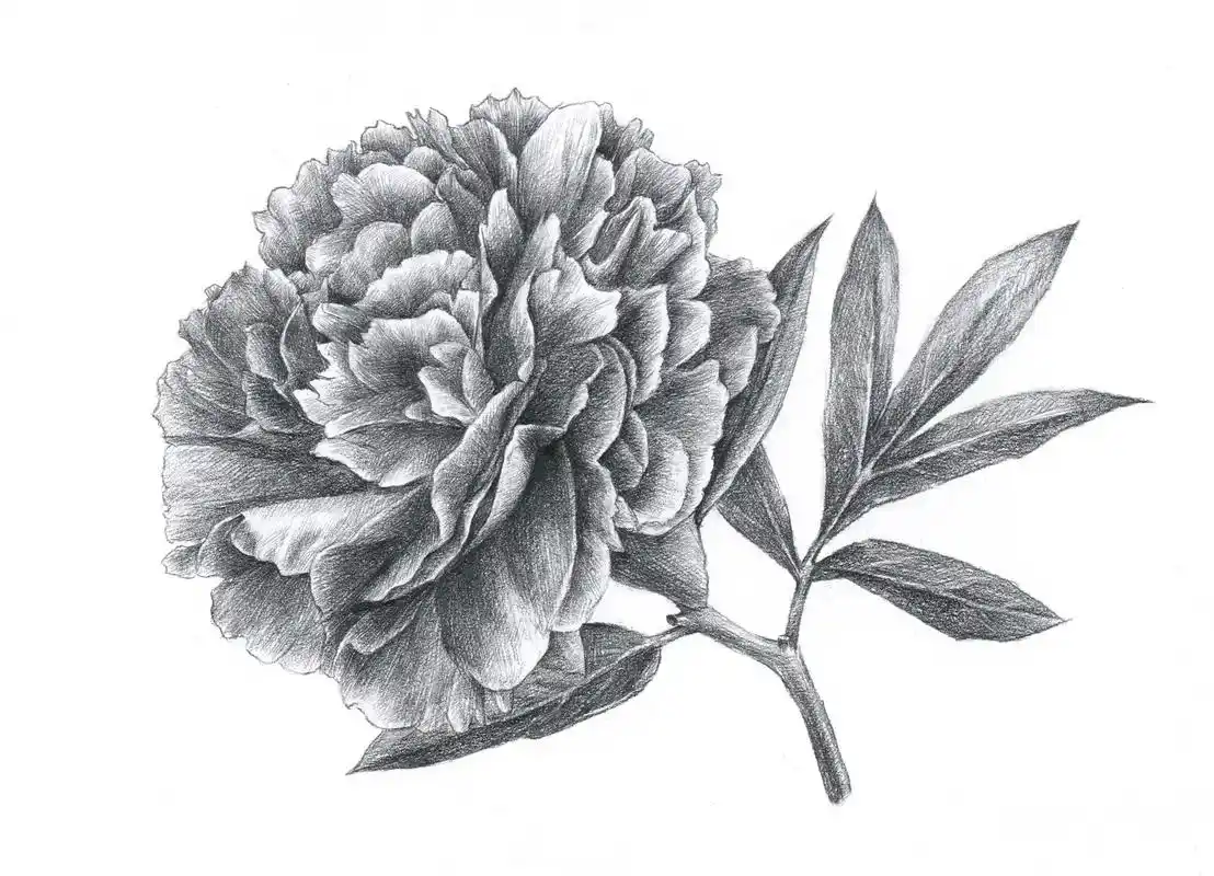 画画 #素描 #一起学画画 #绘画 #创意美 - 抖音