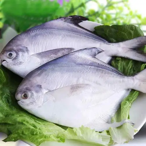 [商城]海天下 深海大鲳鱼410g(2条/袋)