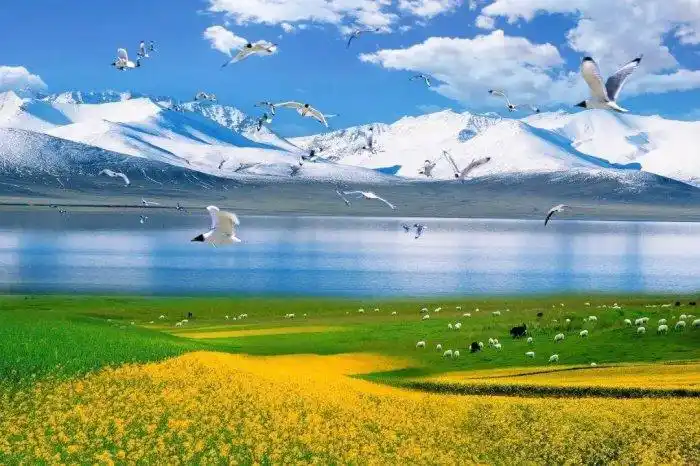 中国著名的十大湖泊青海湖第一名鄱阳湖第二名