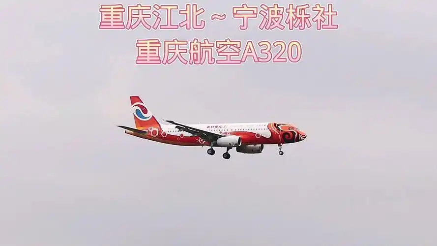 重庆航空美好重庆彩绘客机a320降落宁波机场