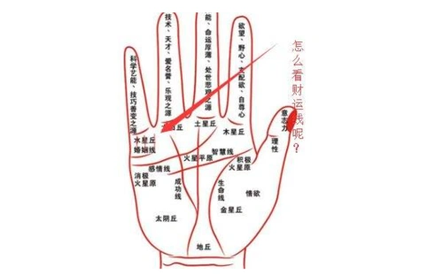 财运线短好还是长好?-996手相网