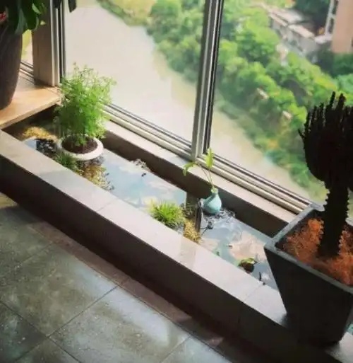 阳台上用水泥和砖自己砌一个自制鱼池种绿植还是养鱼都很棒