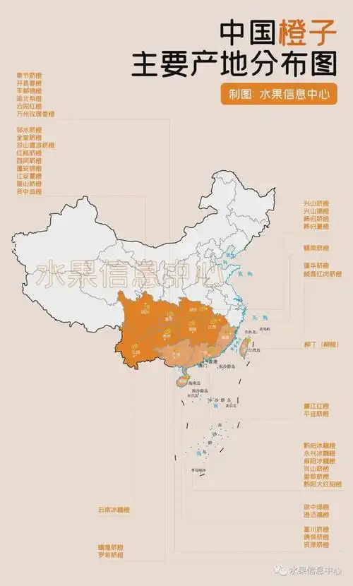 一份中国橙子主要产地分布图|脐橙|水果|甜橙|红橙|血橙_网易订阅