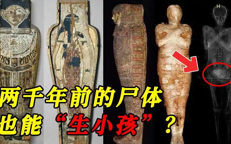 尸体也能"生小孩"?世界首位怀胎7月的木乃伊现身?