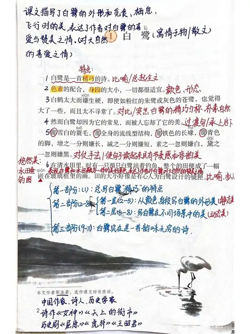 五年级上册课文《白鹭》详细备课笔记