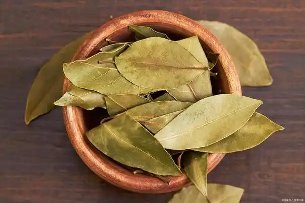 香叶进口清关手续资料与报关操作流程解析