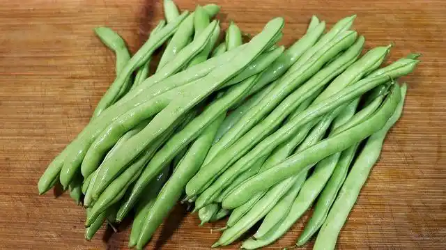 农户种植豆角过程中,要掌握关键环节保证豆荚高产品质好