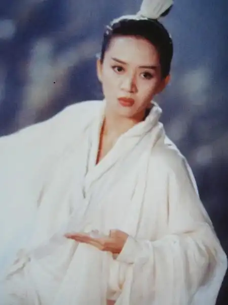 【新仙鹤神针 (1993)】