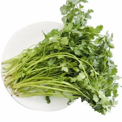 香菜(估重约150g) ￥1.80