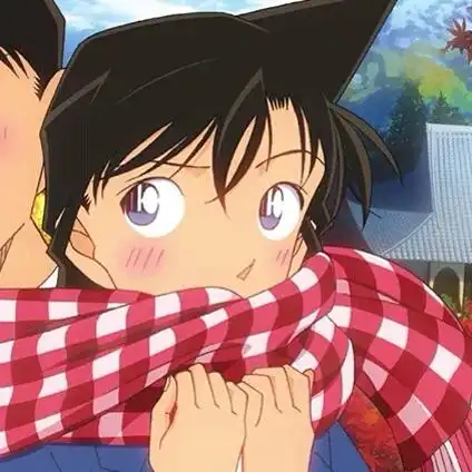 柯南情头,柯南情头 情侣(名侦探柯南情侣头像图片)