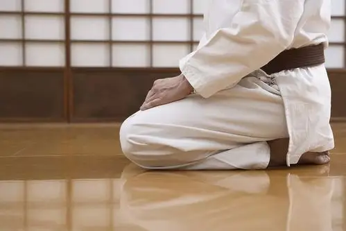 跪坐可以刺激到小腿胃经,使血液充盈到足三里这个穴位.