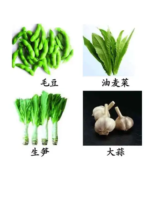 蔬菜大全的图片及名称21张