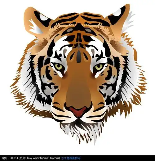 彩色老虎头矢量图
