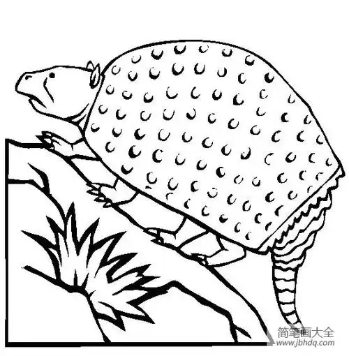 史前动物雕齿兽简笔画图片