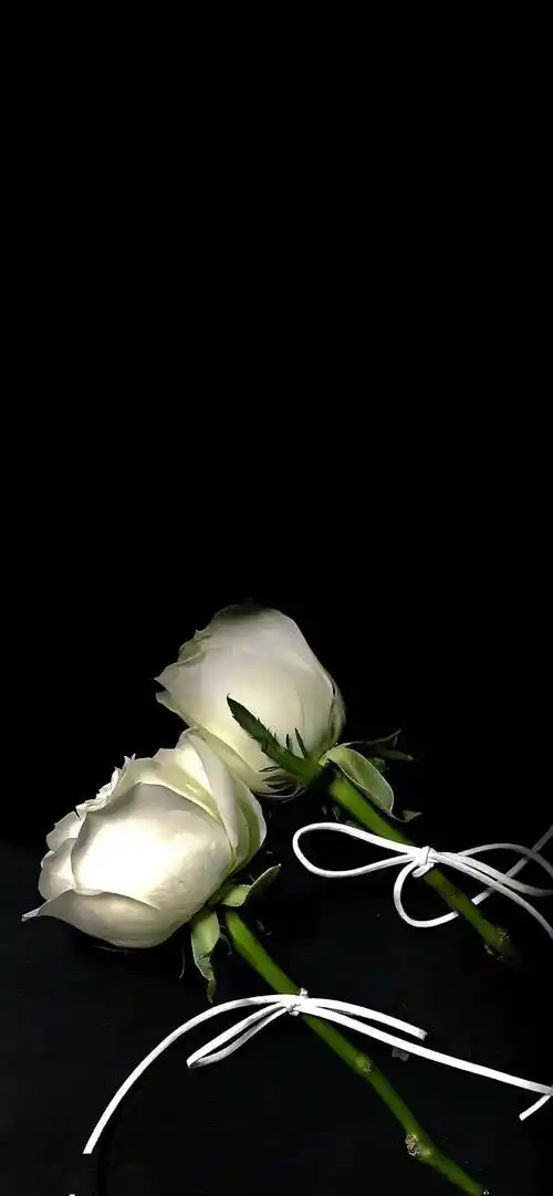 壁纸| 高清4k无水印全面屏高级感壁纸