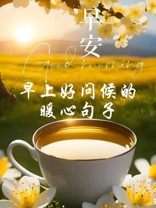 早上好问候的暖心句子 早安,阳光洒在脸上的感觉,就像你的微笑一样