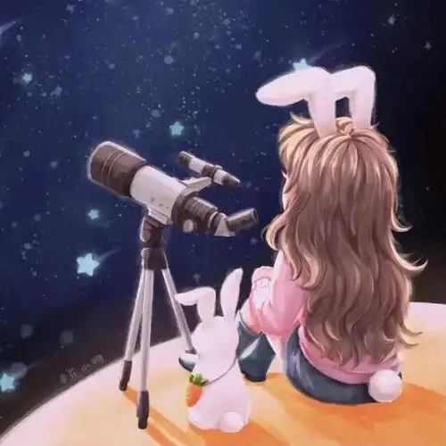 情侣头像看星星的兔子