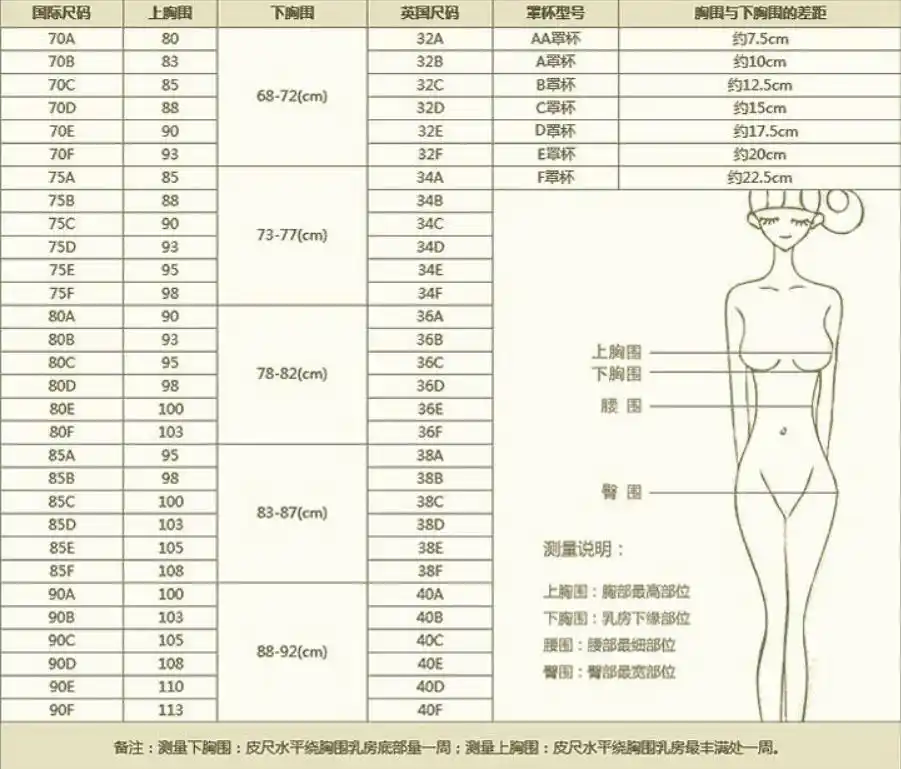 上下胸围差20厘米是什么罩杯?怎么计算罩杯大小?