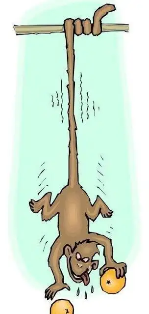 猴子倒挂在树上简笔画