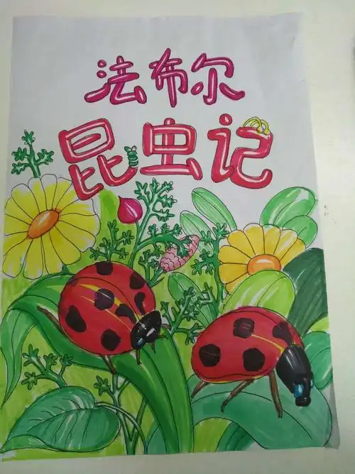 其它 喜"阅"新一代 有你更精彩! 《昆虫记》封面设计