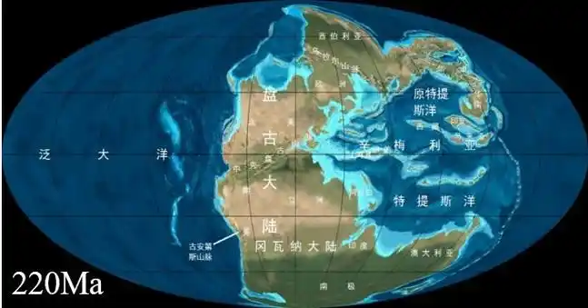 pangaea联合大陆3,由青藏高原隆升引发的一系列气候变化大约5000万年