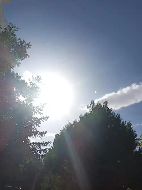 其它 七月天 写美篇骄阳似火七月天,天上流云一片片