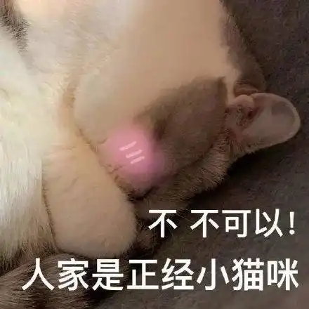 不可以,人家是正经小猫咪_小猫咪_正经_人家_可以表情