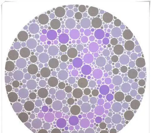 2020年最靓的仔,5张色盲色弱检测图,识别4张不算合格