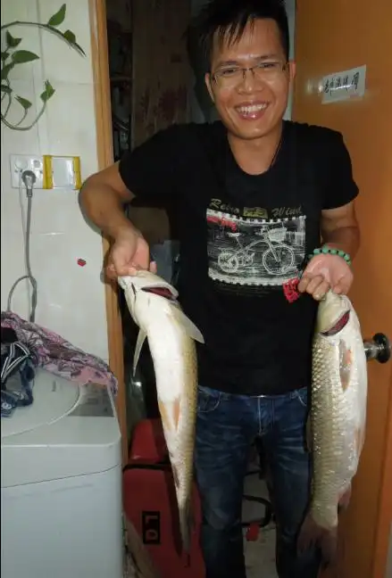今天和老公钓鱼的鱼获