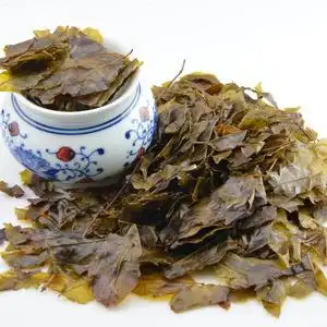 2019新茶贵州赤水野生苦丁茶叶夏季清火凉茶  大叶苦丁茶