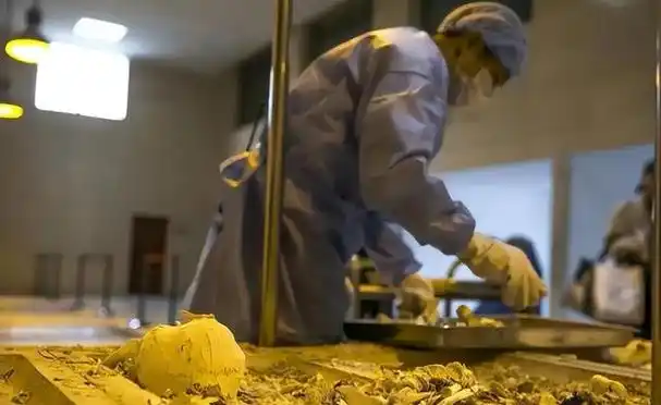 在泰国偏远山区,据说有人会用婴儿尸体提炼尸油,用来修炼邪术,甚至被