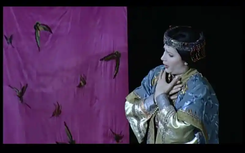 主人请听我说-最佳版本