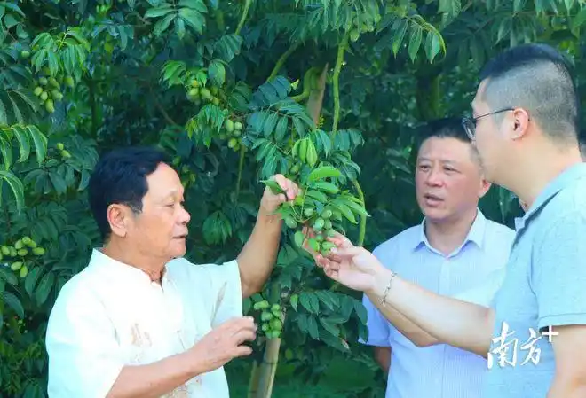 产业旅游齐发力我为山清水秀的揭西灰寨镇打call丨镇上来了工作队④