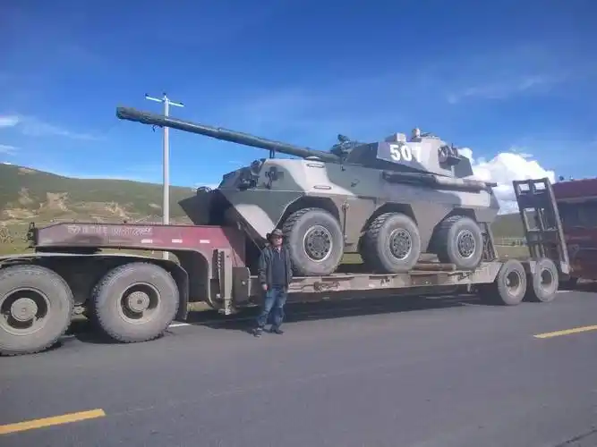 谁能告诉我这是解放军的什么武器,炮的口径是多少,性能怎样,主要用途