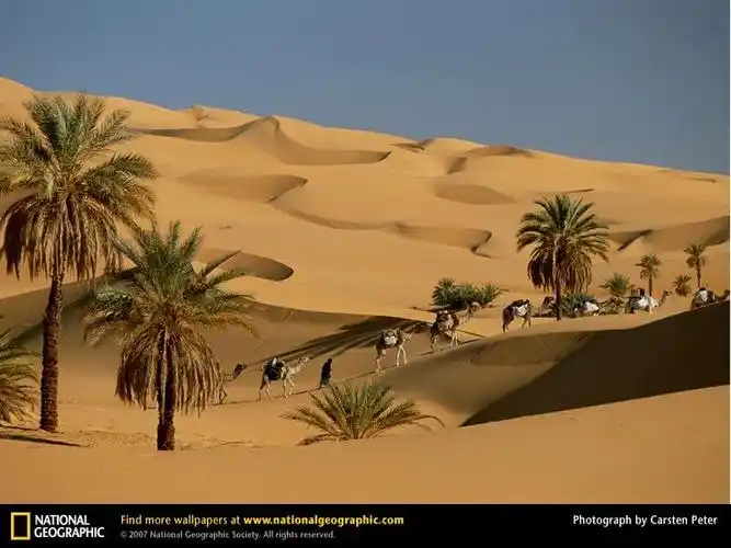 非洲撒哈拉沙漠