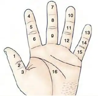 手上有痣代表什么 手上有痣图解与命运