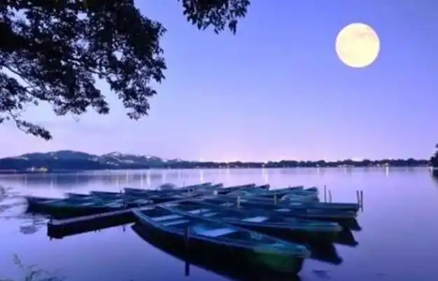 平湖秋月景点介绍