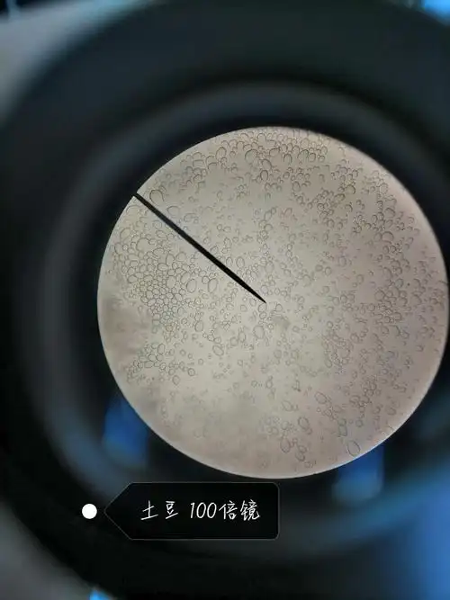 18级药剂五班 药植显微试验 季惠燕 48号 钟思颖 18号