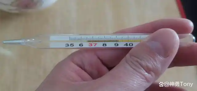 昨晚9点开始觉得身体有点软绵绵的,测量了下温度37.