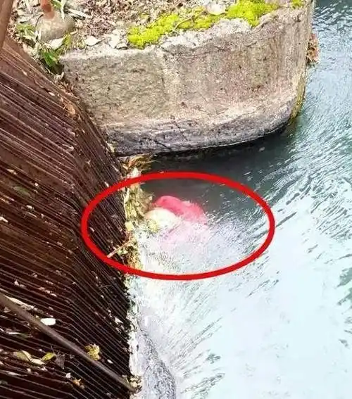 可怜!昭通五德一小女孩失足掉下沟渠,结果.