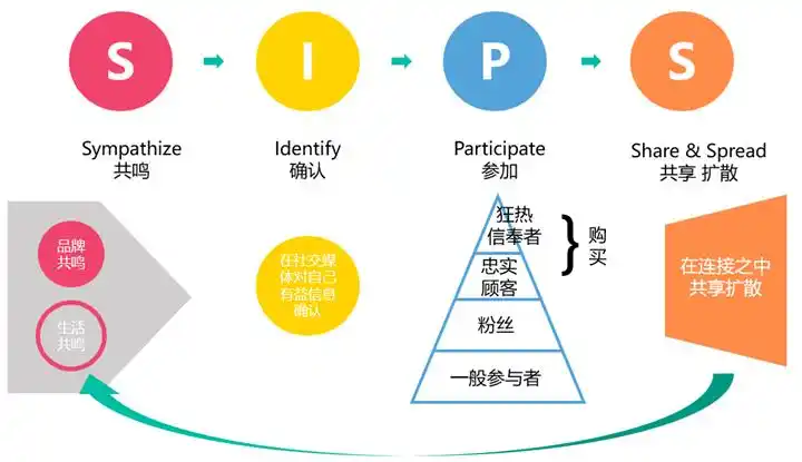 从消费者行为模式到用户增长模型