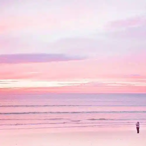 身边的人也就多积分的关心和在意的意思,狮子座相处久了就会发现,宠爱