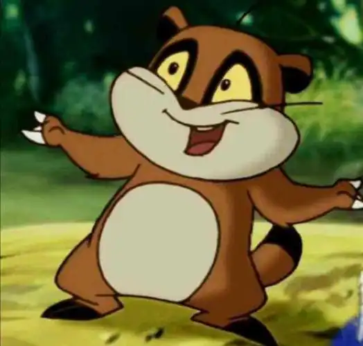 42糖,以及讨论小猪熊的物种问题