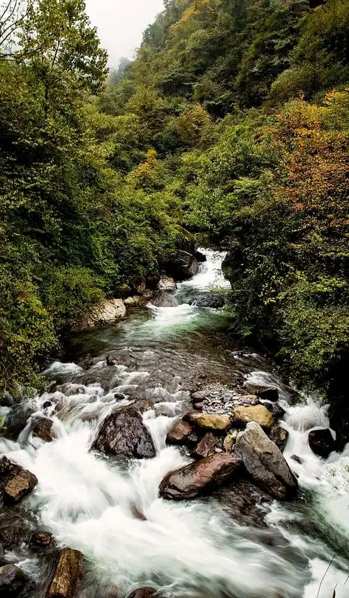印象"黑竹沟"__之风景篇.