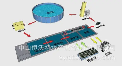 鱼菜共生系统设计工厂化水产养殖过滤设备养虾大棚循环水养鱼设备