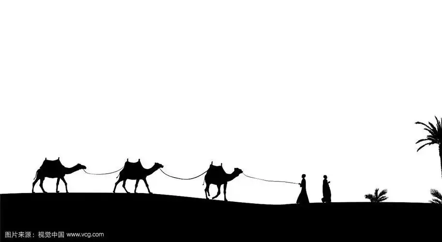 麻省理工商队和骆驼的剪影