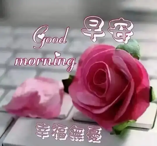 原创早安精选祝福心语早上好祝福语录祝2021年下半年好运