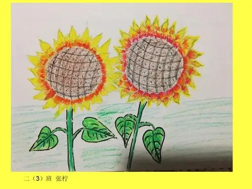 停课不停学～爱之绘·战疫情——景宁县第二实验小学二年级美术